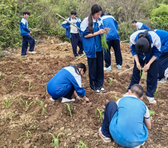 搭建实景讲堂实时收集学生劳作数据